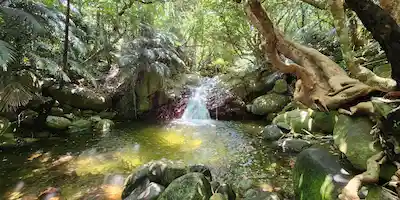 Arakawa Falls MO