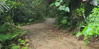 Banna Walking trails MO
