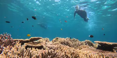 Best snorkeling spot in Ishigaki MO