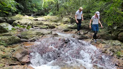 Hiking in a lush jungle riverside