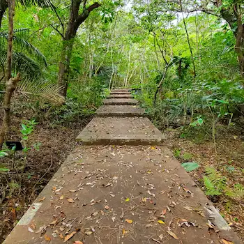 Easy walking trail in Banna park