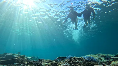 Snorkeling in a healthy Coral reef with the sun rays coming down