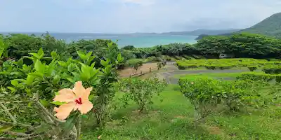 Tamatorizaki MO